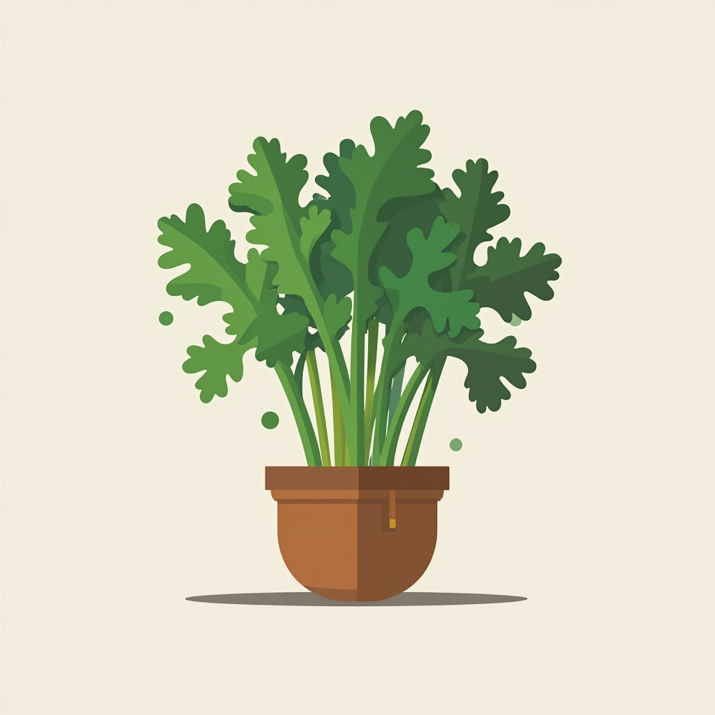 cilantro